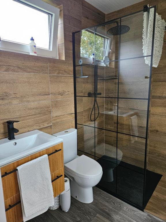 PowałkiにあるStrefa relaxu u JJのトイレ、シャワー、洗面台を備えたバスルーム