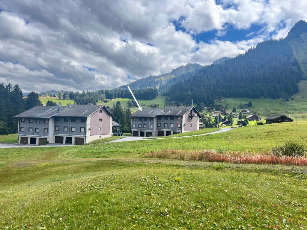 a group of houses in a green field with a mountain at Résidence A9 - Les Myosotis in Les Mosses
