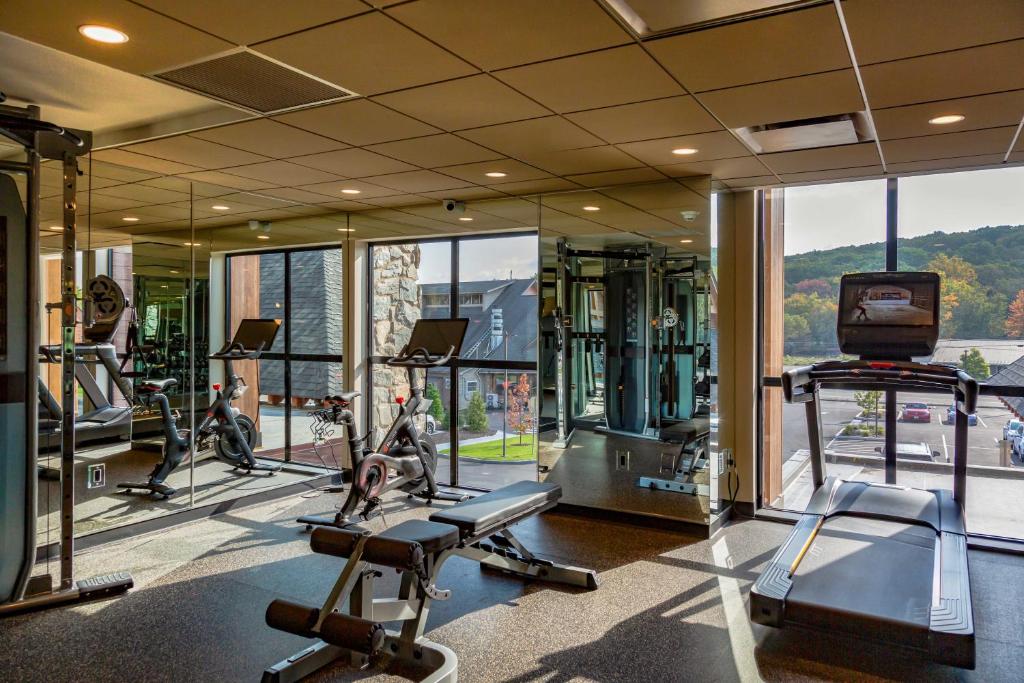 Fitness centrum a/nebo fitness zařízení v ubytování The Swiftwater