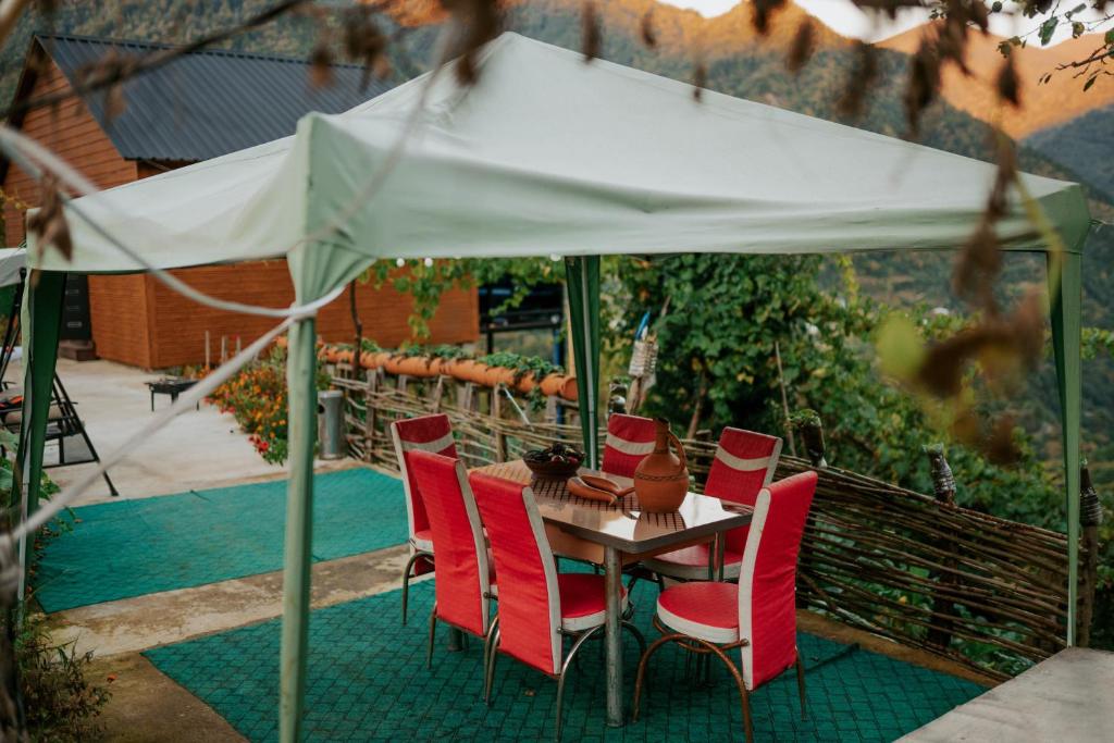 Fotografie z fotogalerie ubytování Machakhela view v destinaci Batumi