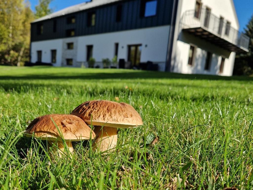 Budova, v ktorej sa penzión nachádza