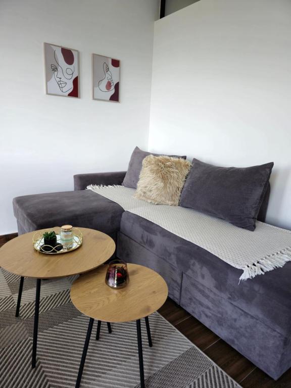 Posezení v ubytování Apartman Devetka Diamond Hill
