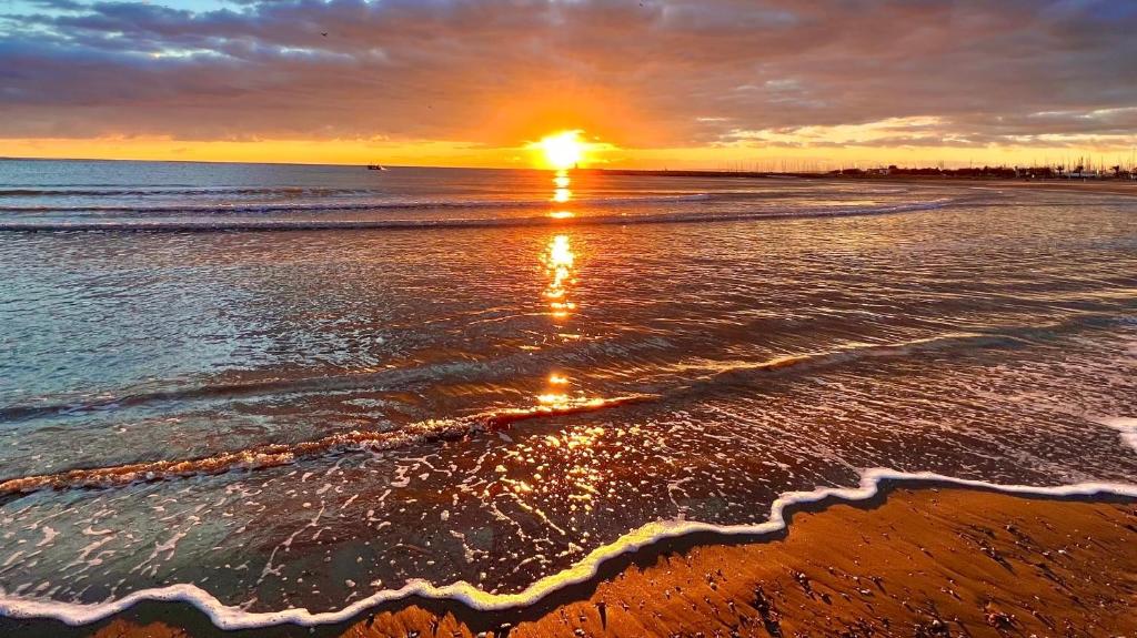 Naturlandskabet i nærheden af lejligheden