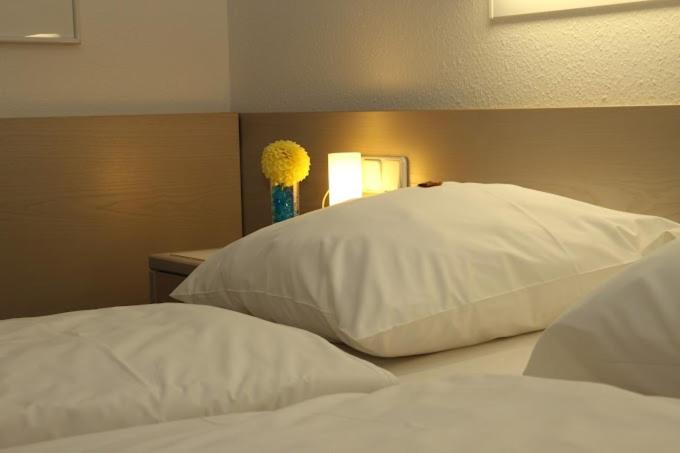 Hotel und Gasthof Zur Laute - Twin Room