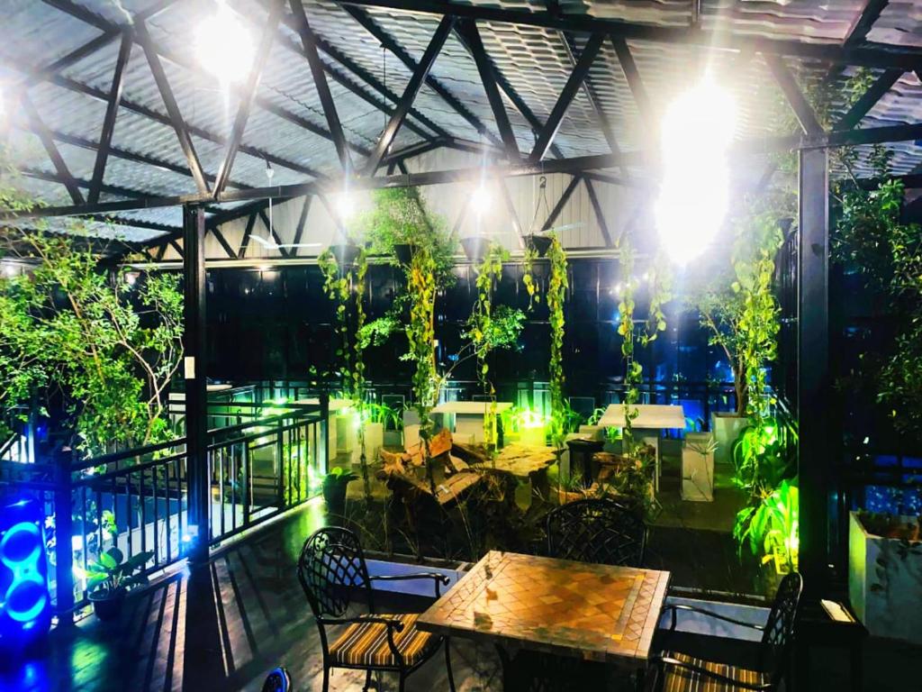 Zahrada ubytování Hotel Rosenro