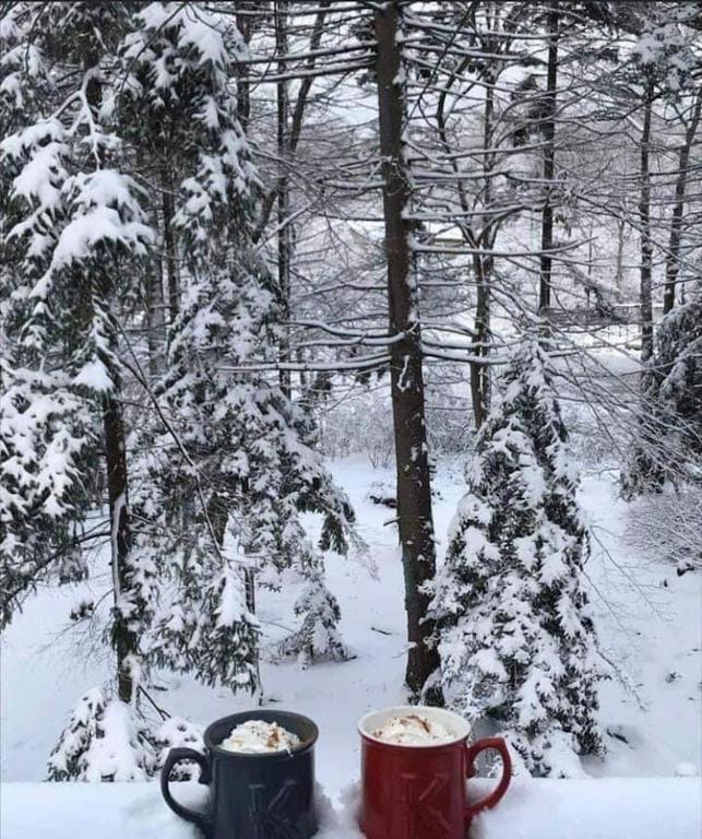 Majestic Lake Front Chalet durante l'inverno