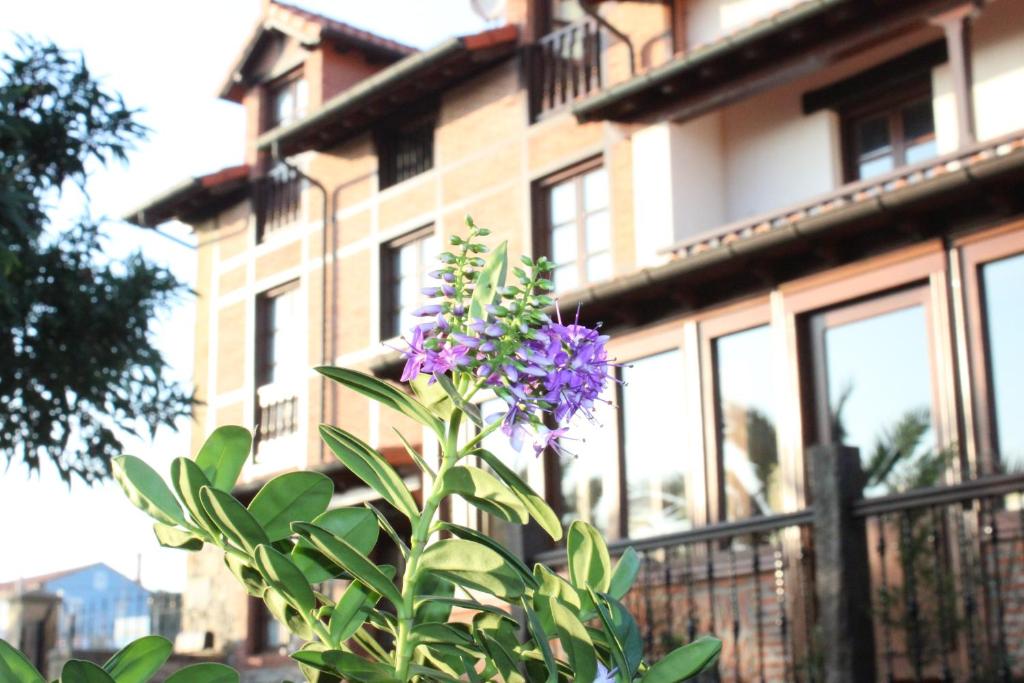 une plante aux fleurs violettes devant un bâtiment dans l'établissement Posada La Cabaña De Salmon, à Santillana del Mar