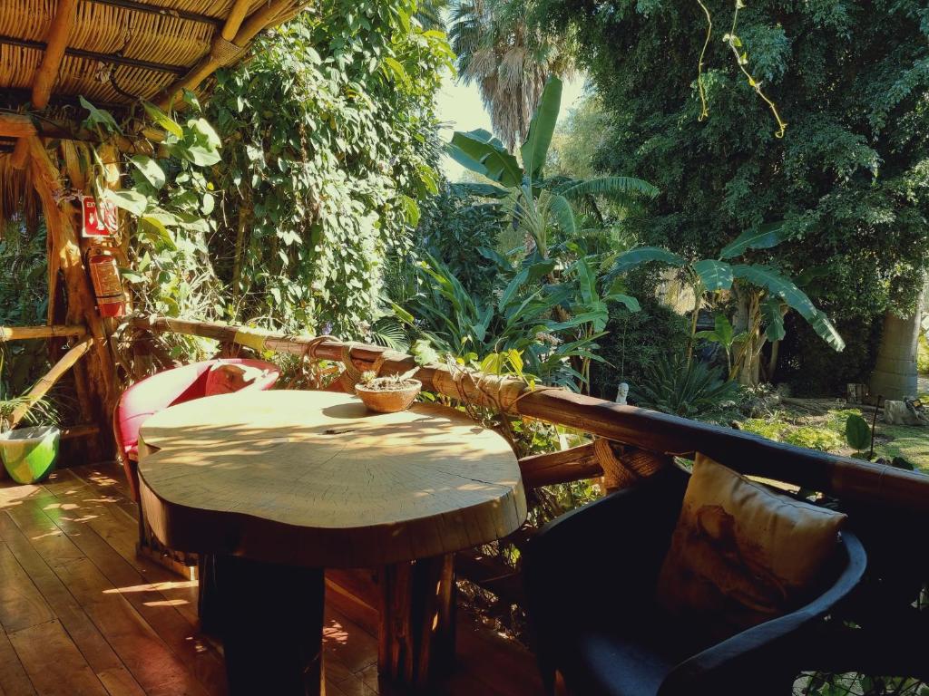 Zahrada ubytování Eco Hotel Tahawi