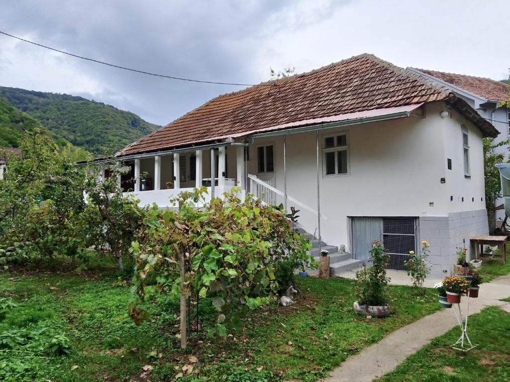 a white house with a tree in front of it at seosko turisticko gazdistvo milanovic zuc in Žuč