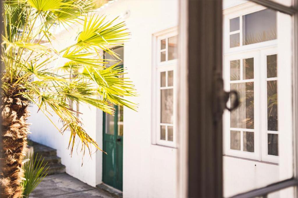 an open door with a palm tree in front of a house at Guest House Genuíno in Horta