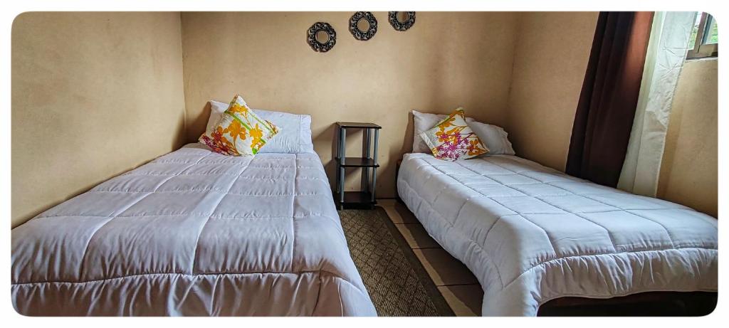 Hostel Coati Place Bed & Breakfast Adults Only - Chambre Jumelle Avec Vue Sur La Ville