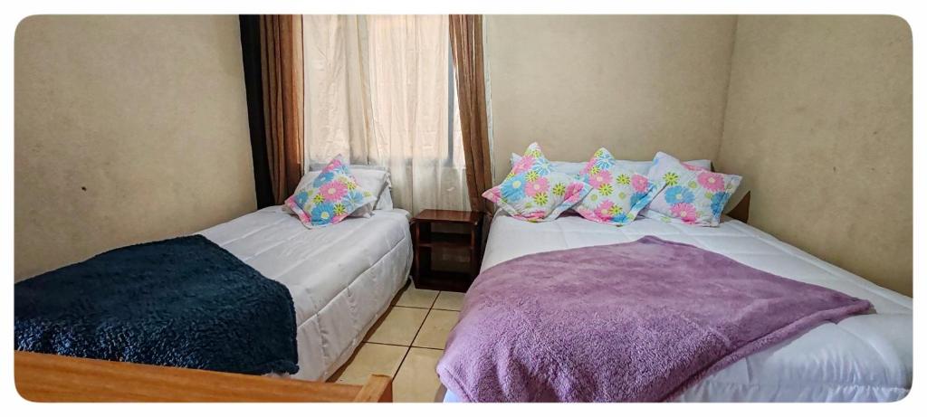 Hostel Coati Place Bed & Breakfast Adults Only - Budget Twin Room