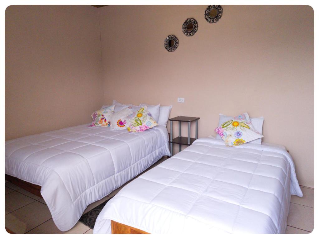 Hostel Coati Place Bed & Breakfast Adults Only - Économie Triple Salle