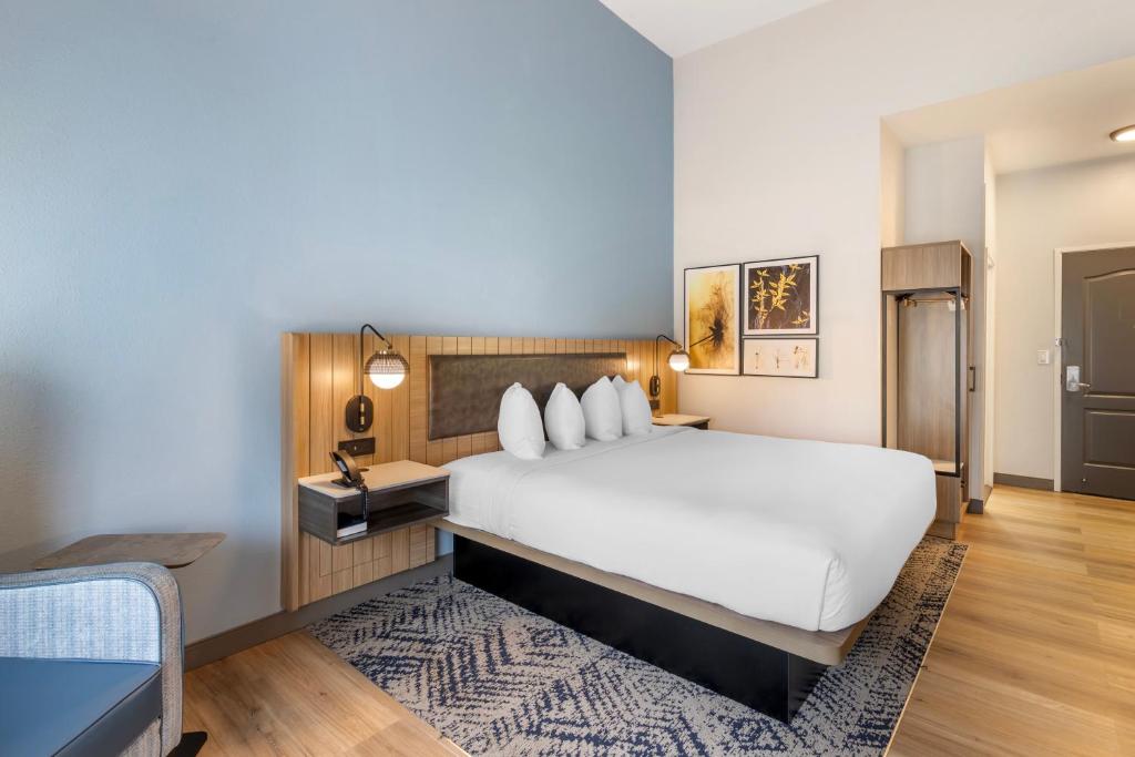Country Inn & Suites By Radisson, Savannah Airport, GA - Room King - Non-fumeur