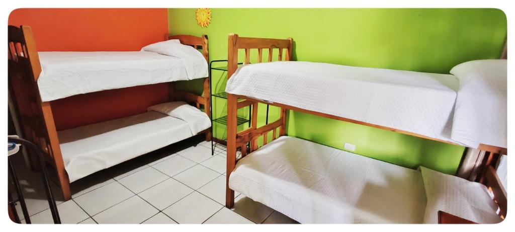 Hostel Coati Place Bed & Breakfast Adults Only - Lit Dans Une Salle De Dortoir Féminine à 4 Lits
