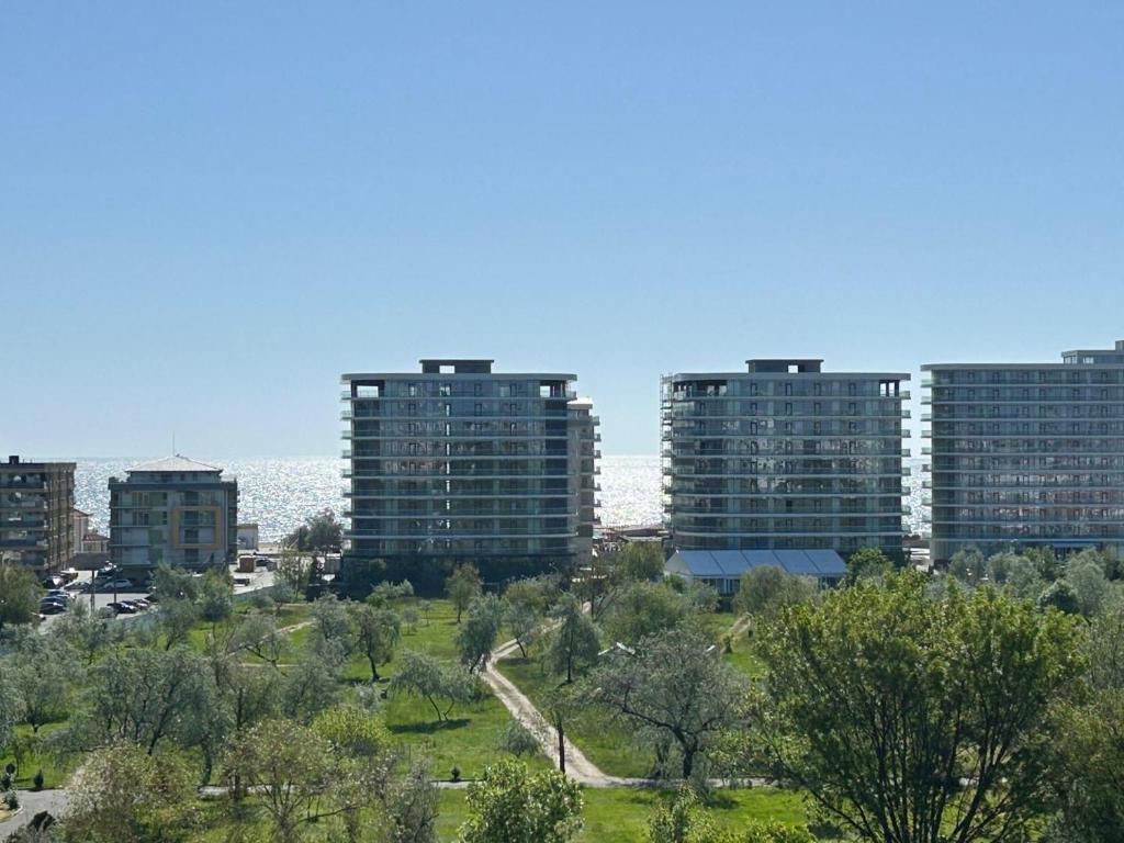 Penthouse - Designing Buildings