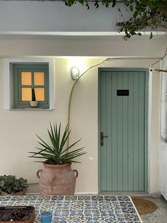 a green door and a potted plant in front of a house at Nomads Hostel Tunisia in Tunis