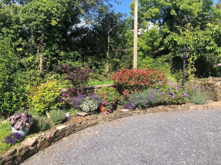 Zahrada ubytování Peaceful, relaxing and warm 2-bedroom, sleeps 4, self-catering Galtee Mountain Lodge - for Mitchelstown, Cahir, Cashel and Cork, 1hr drive from 4 cities