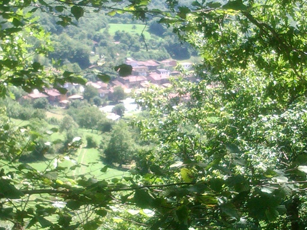 Táj Show country houses közelében