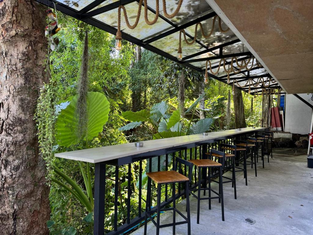 Zahrada ubytování Pagi Pagi villas