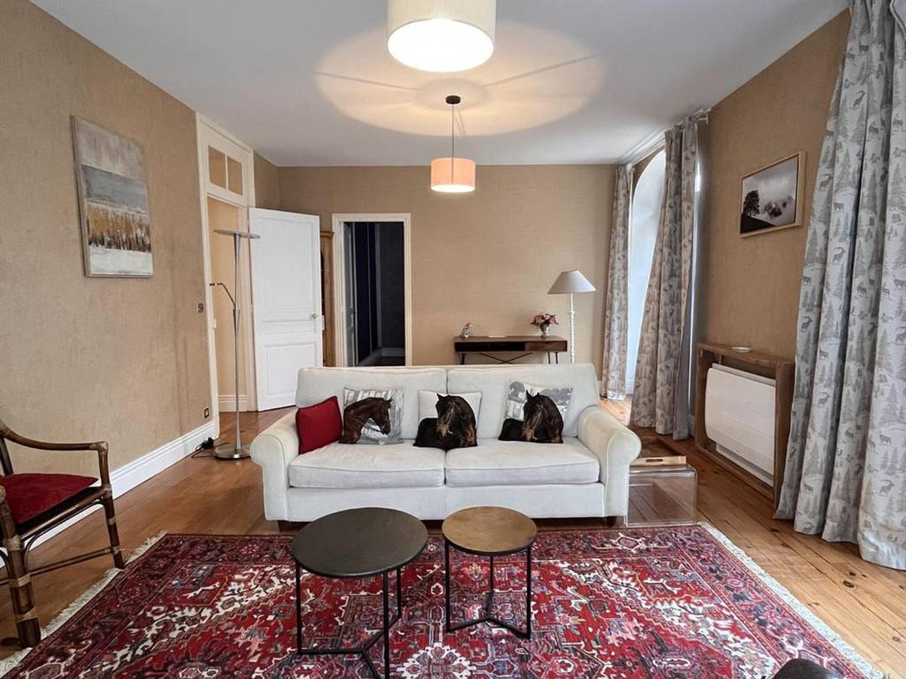 - deux chiens assis sur un canapé dans le salon dans l'établissement Grand appartement montagne, centre-ville, 6 pers - FR-1-234-327, à Cauterets