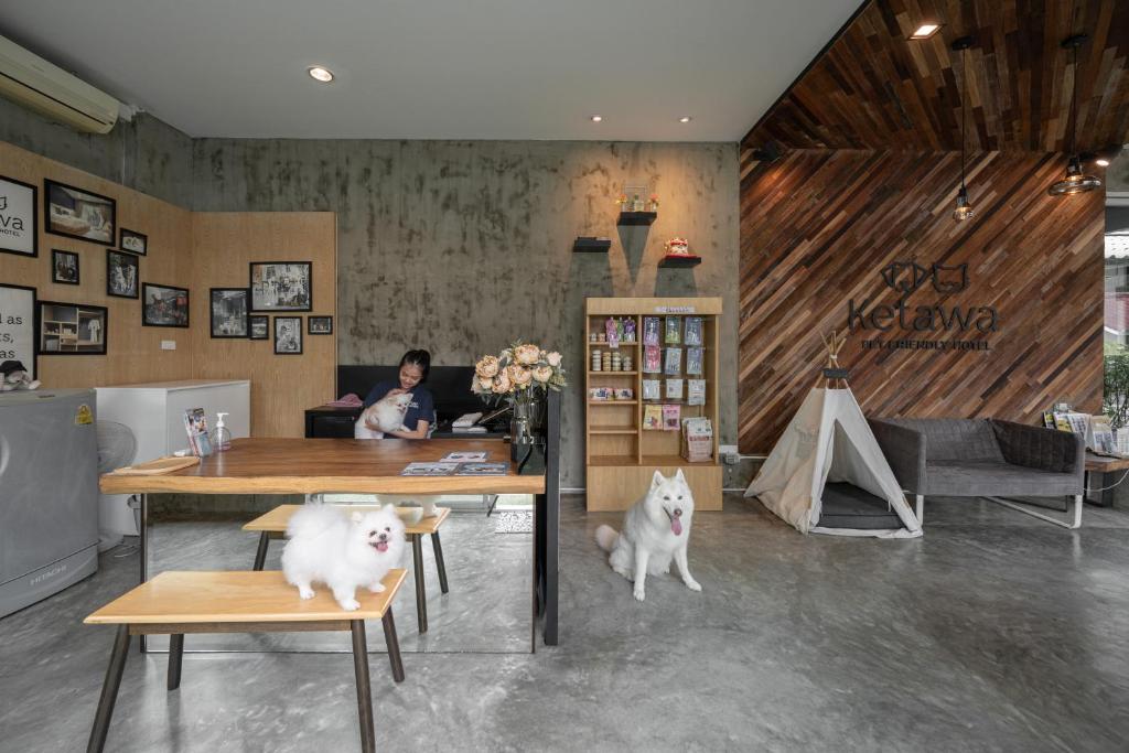 Ketawa Pet Friendly Hotel - Resim 37