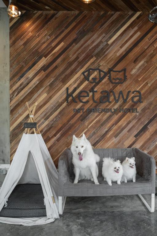 Domácí mazlíčci ubytovaní s hosty v ubytování Ketawa Pet Friendly Hotel