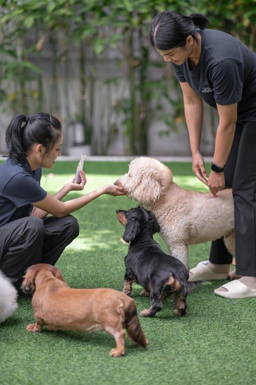 Ketawa Pet Friendly Hotel - Resim 41