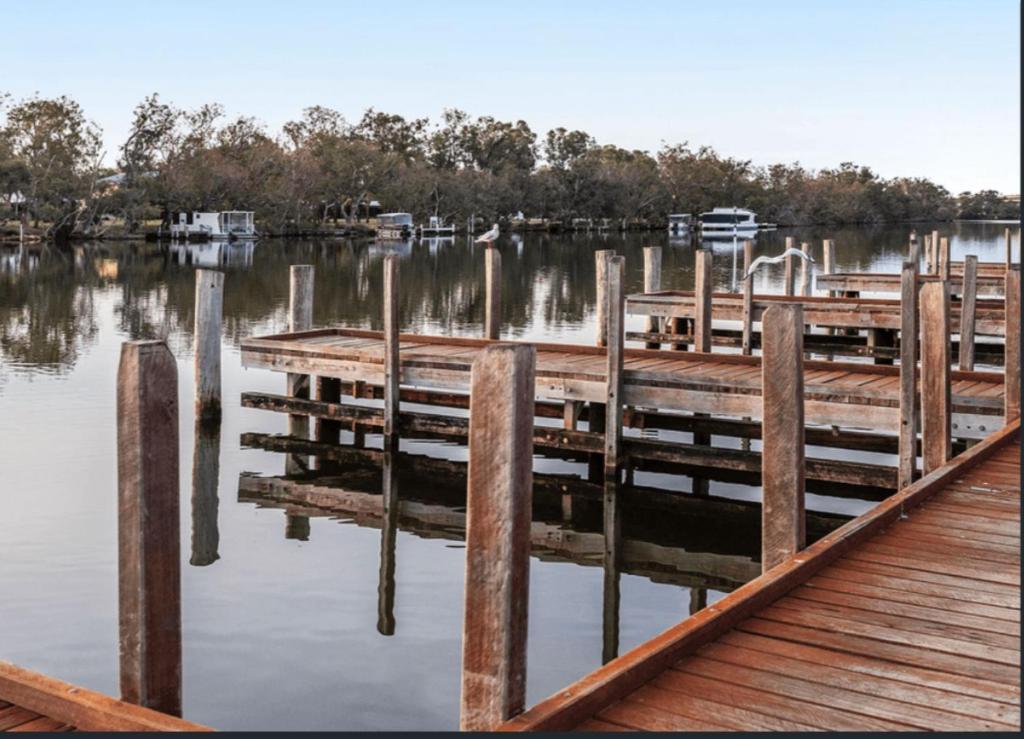 a dock on a body of water with trees at Riverview - South Yunderup in South Yunderup