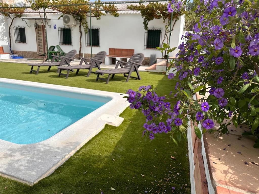 a garden with a swimming pool and purple flowers at El Cortijo in Archidona