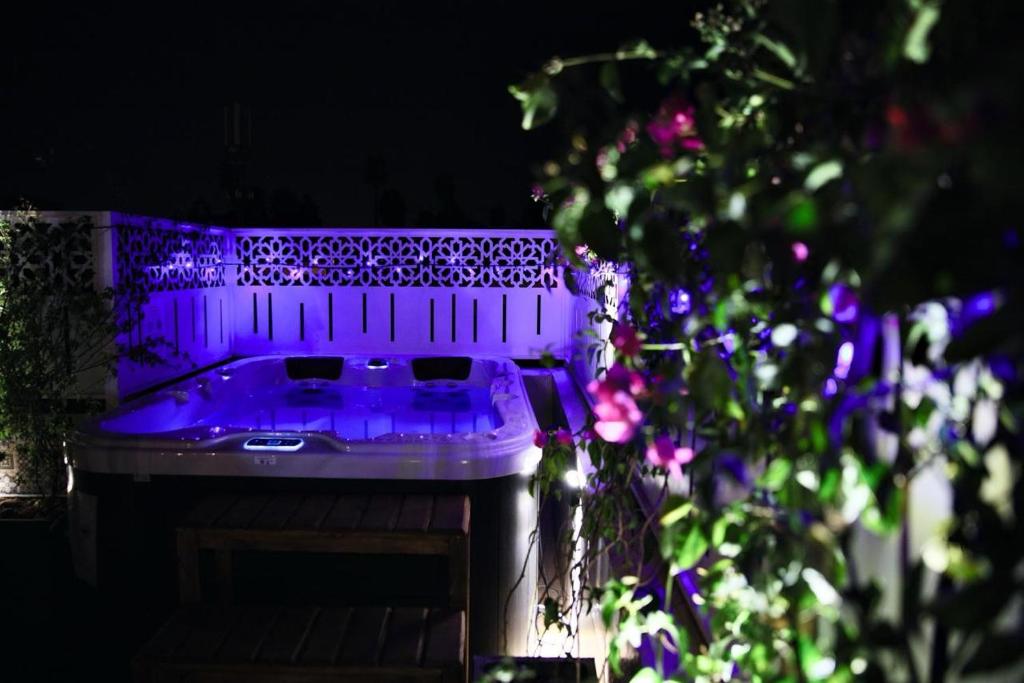 Zahrada ubytování RIAD & SPA SOUS LE SOLEIL chez Jerome & Pamela Suite Essaouira
