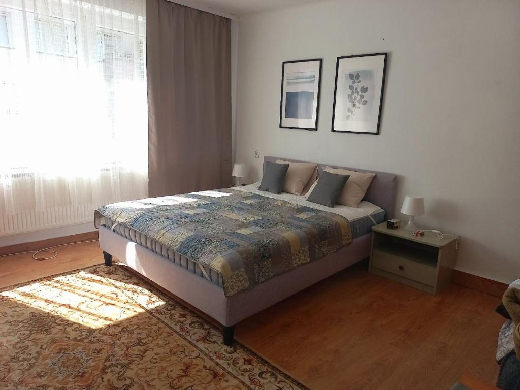 a bedroom with a bed and a window at mieszkanie Tarnowskie Gory obok biblioteki Boleslawa Lubosza in Tarnowskie Góry