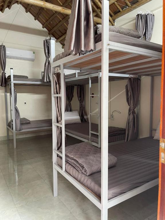 Downtown Backpacker Hostel - 12