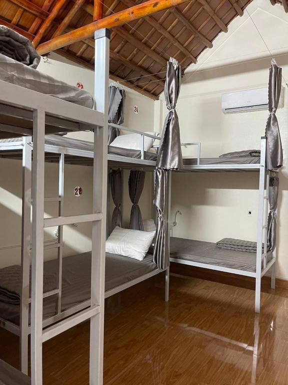 Downtown Backpacker Hostel - 13