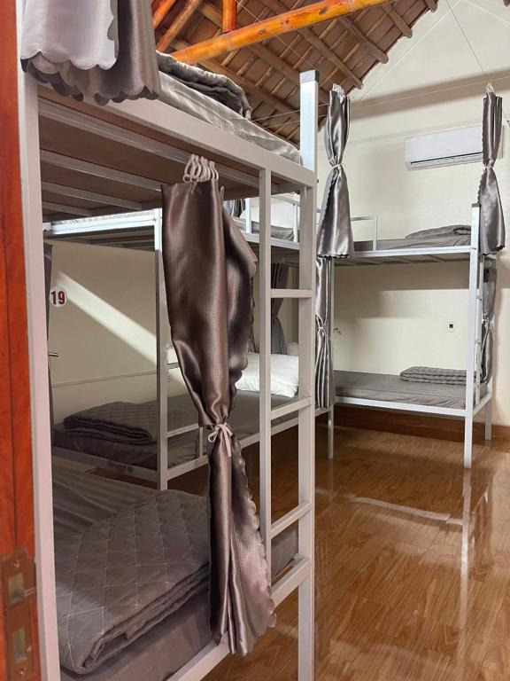 Downtown Backpacker Hostel - 14