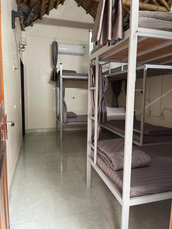 Downtown Backpacker Hostel - 15