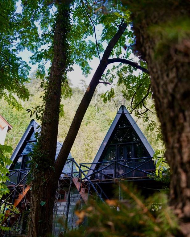 Příroda nedaleko apartmánu