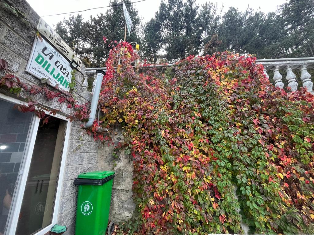 Zahrada ubytování Hostel La Casa Dilijan