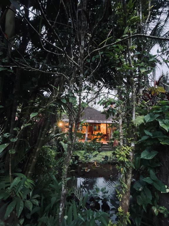 Zahrada ubytování Carik Tangis Boutique Homestay