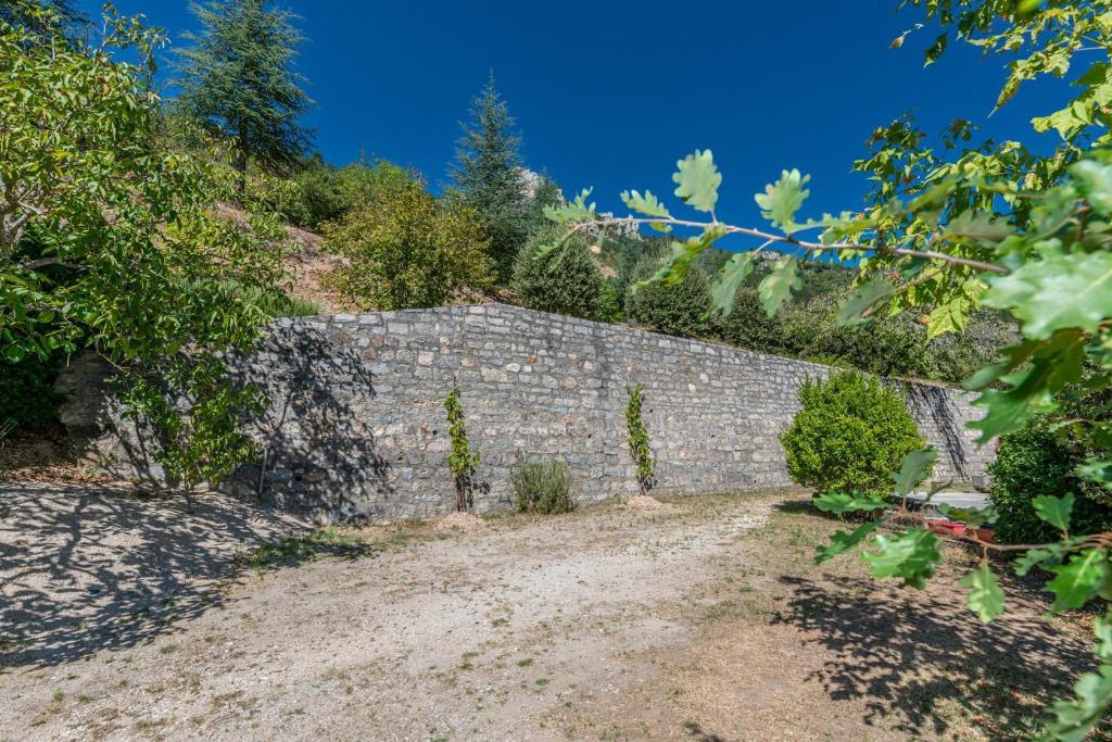 un vieux mur de briques avec des plantes dessus dans l'établissement Gîte Gîte 