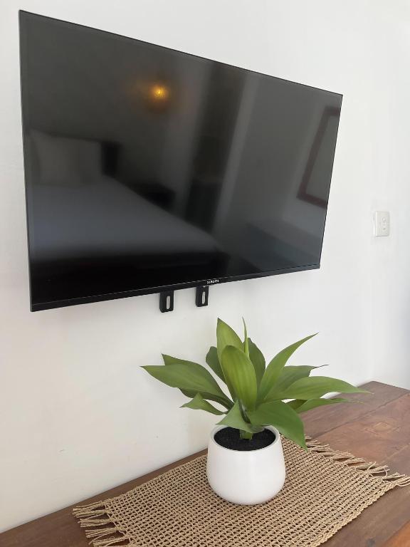 Kaktus Boutique Apartments Bali - ADULTS ONLY - 17