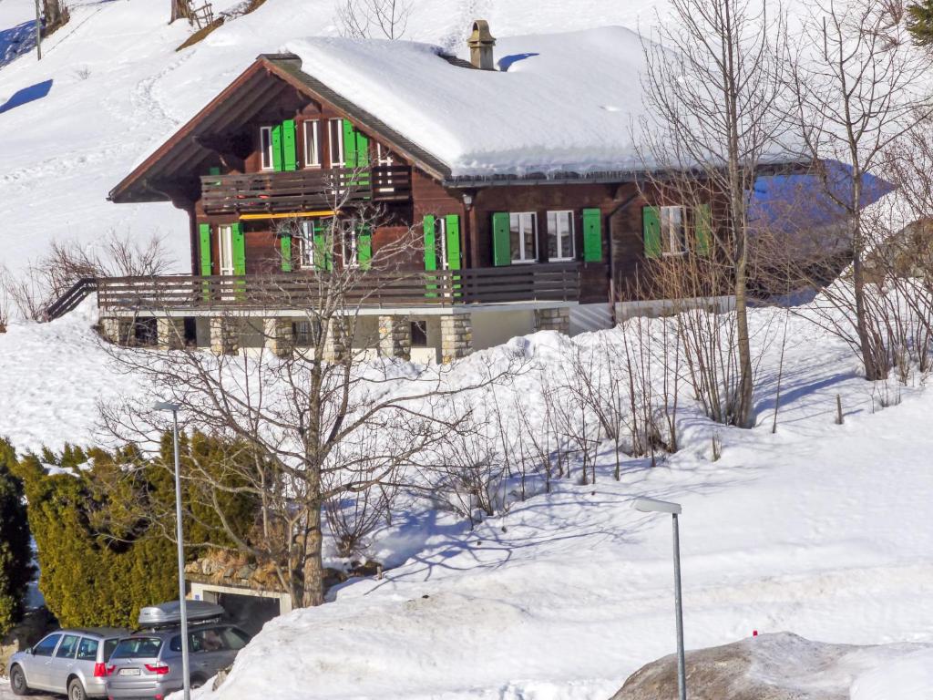 a house with green shutters in the snow at Chalet Chalet Pitschun by Interhome in Grindelwald
