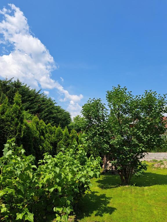 Příroda nedaleko apartmánu