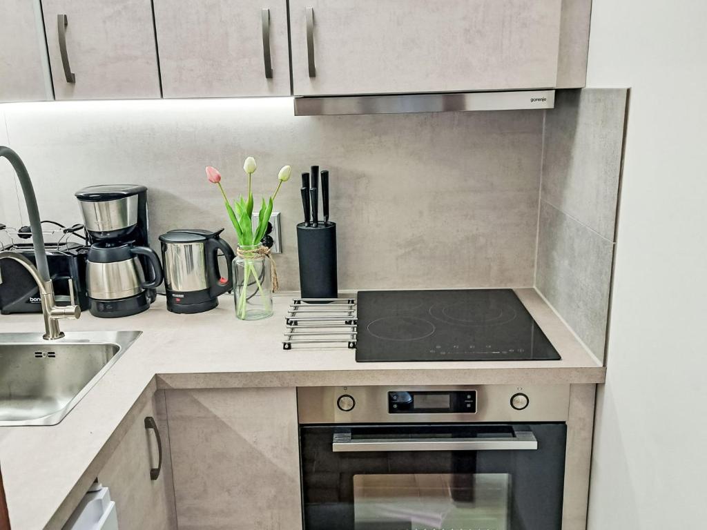Kuchyň nebo kuchyňský kout v ubytování Apartment Top A45 by Interhome
