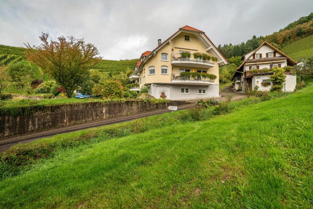a house on the side of a grassy hill at Ferienhof Mayer in Lautenbach