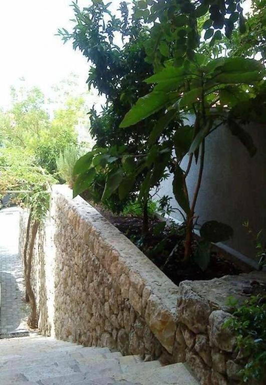 Fotografie z fotogalerie ubytování Apartments Bor v destinaci Makarska