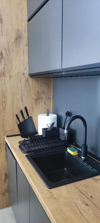 Majoituspaikan Aspectus apartmani Divcibare keittiö tai keittotila