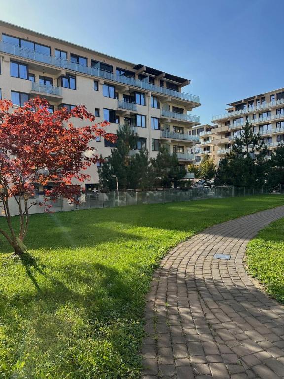 a tree in a park next to a building at CH Exclusive Copou in Iaşi