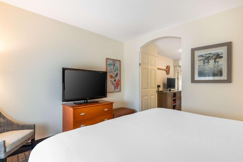 Best Western Plus University Park Inn & Suites - Suite Ejecutiva King - No Fumar