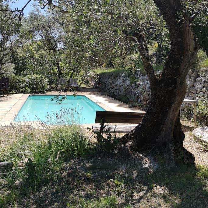 un arbre et un banc à côté d'une piscine dans l'établissement Les Restanques Charmante petite maison nature et calme Grasse, à Grasse